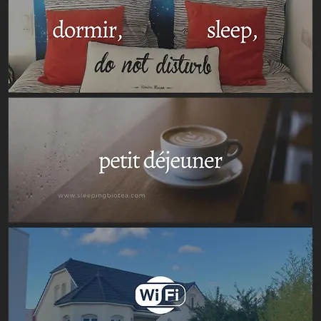 Nocleg ze śniadaniem Sleeping Bio Tea