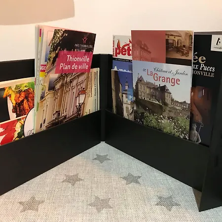 Sleeping Bio Tea Nocleg ze śniadaniem Thionville