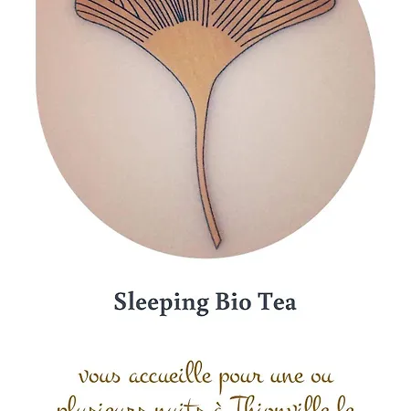 Sleeping Bio Tea Panzió 3*