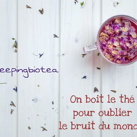 فندق مبيت وإفطار Sleeping Bio Tea