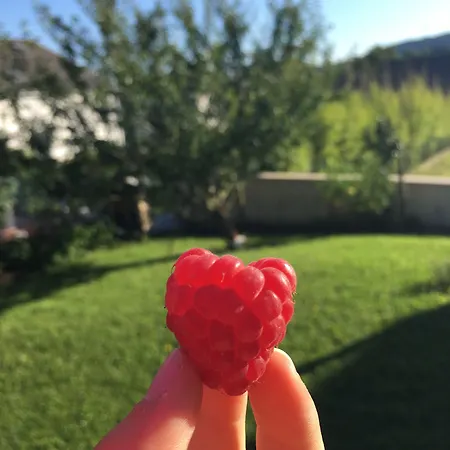 Sleeping Bio Tea Nocleg ze śniadaniem Thionville