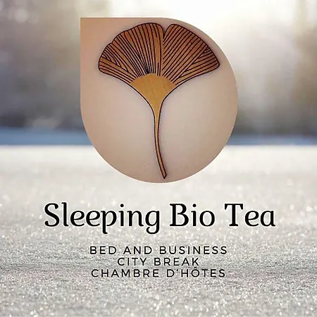 Sleeping Bio Tea 3*