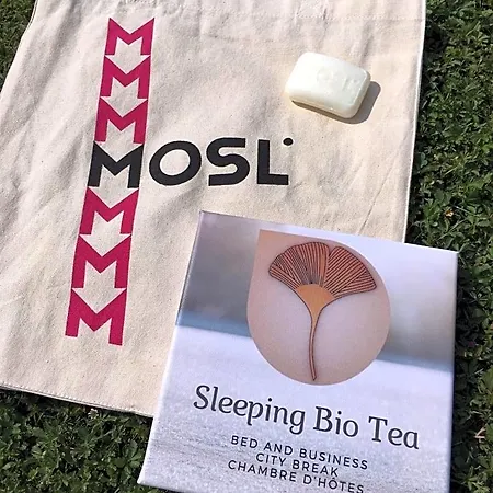 Sleeping Bio Tea Panzió 3*