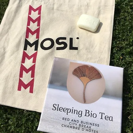 Sleeping Bio Tea Frühstückspension *