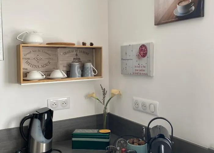 住宿加早餐酒店 Sleeping Bio Tea 3*