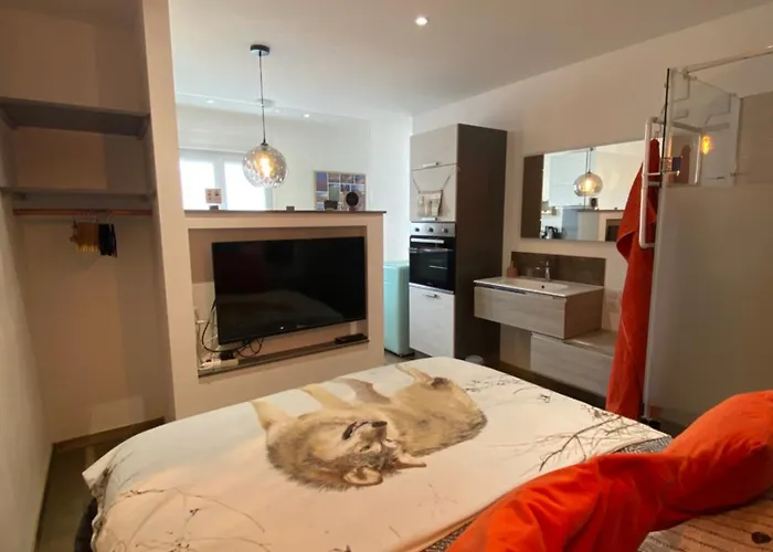 住宿加早餐酒店 Sleeping Bio Tea 3*