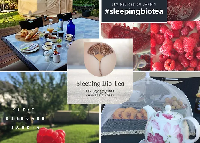 Sleeping Bio Tea 3*