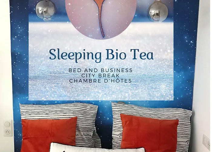 Sleeping Bio Tea 住宿加早餐酒店 3*