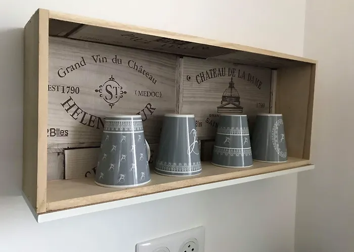 Sleeping Bio Tea 泰昂维