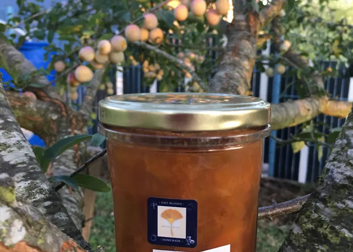 住宿加早餐酒店 Sleeping Bio Tea 3*