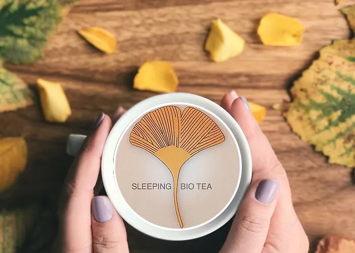 Sleeping Bio Tea 住宿加早餐酒店 3*