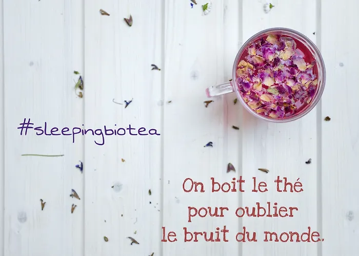 住宿加早餐酒店 Sleeping Bio Tea