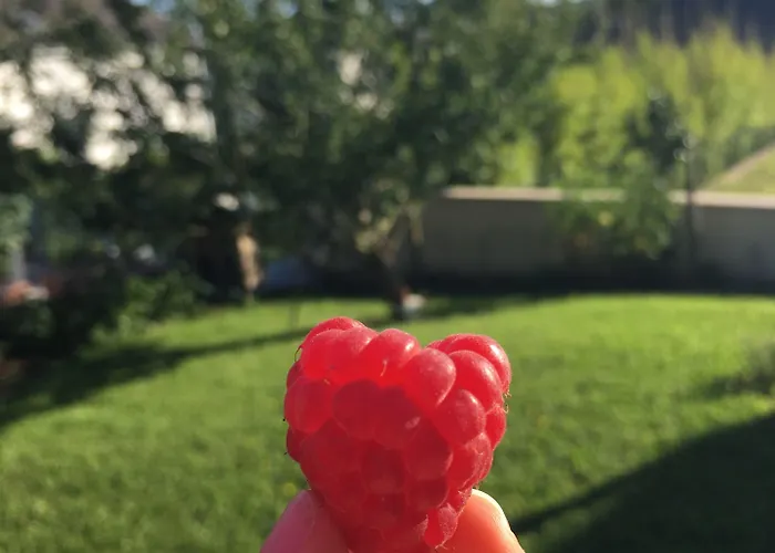 Sleeping Bio Tea 住宿加早餐酒店 泰昂维