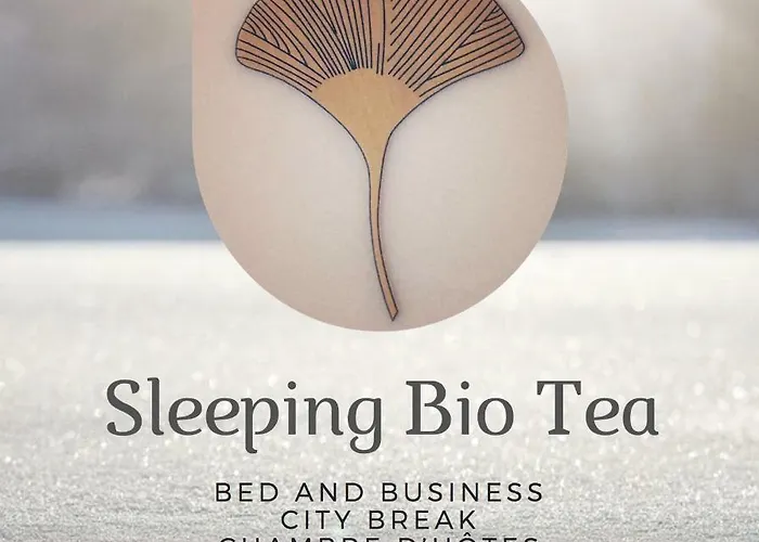 Sleeping Bio Tea 3*
