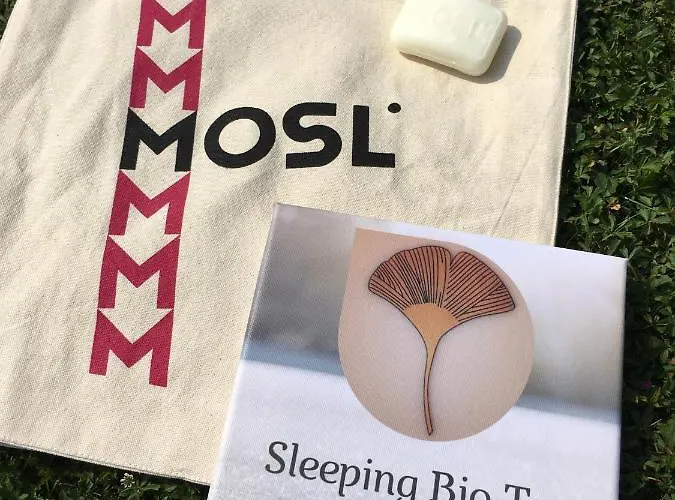 Sleeping Bio Tea 住宿加早餐酒店 3*